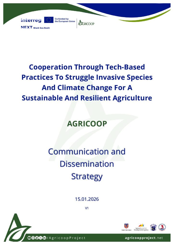 thumbnail of BSB01005-Communication and Dissemination Strategy v1